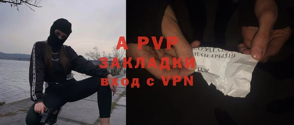 твердый Бежецк