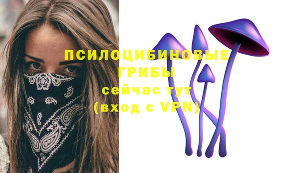 mix Белокуриха