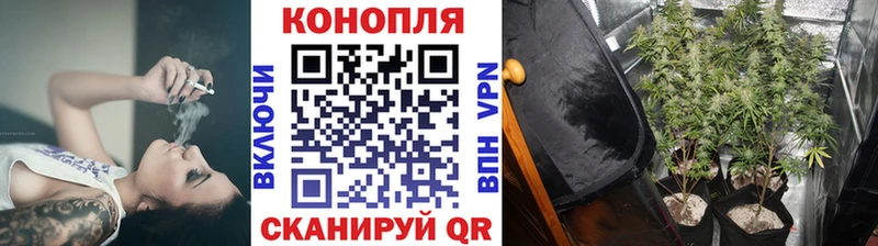 Каннабис Amnesia  Улан-Удэ 